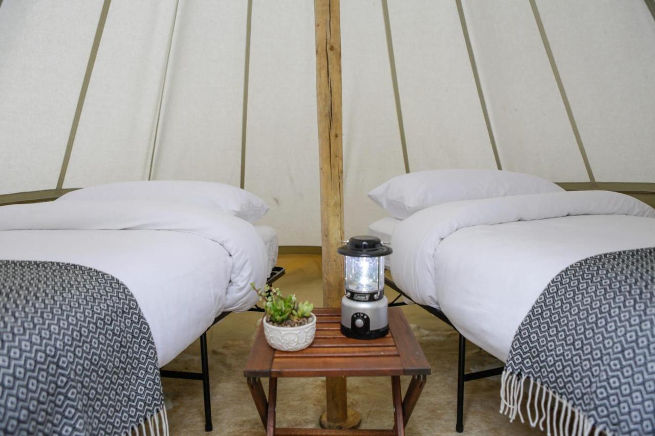 Under Canvas Glacier Coram Buitenkant foto